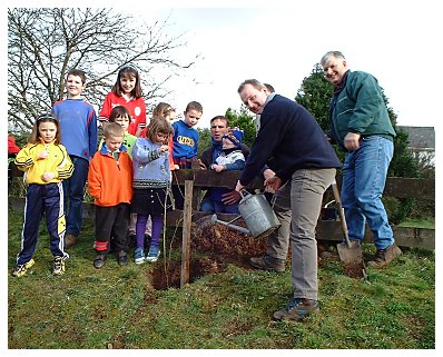 Tree planting.