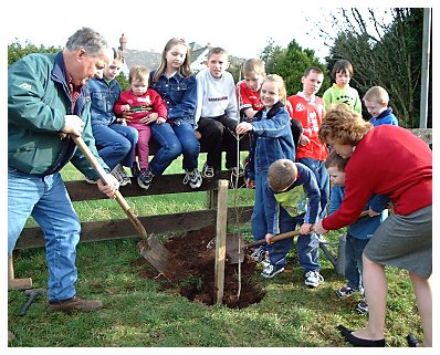 Tree planting.