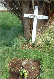 Lennox A Boyle Grave New Graveyard - Lavey Parish Co Derry Ireland